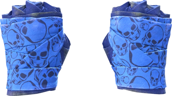★ Hand Wraps | Cobalt Skulls