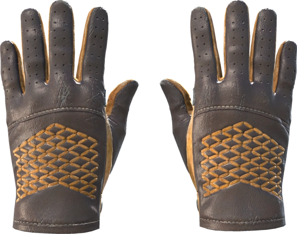 ★ Driver Gloves | Overtake