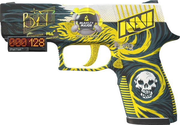 StatTrak™ P250 | Wingshot