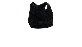 Black Mesh Crop Top
