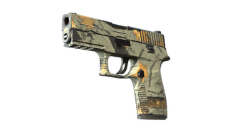 P250 | Modern Hunter