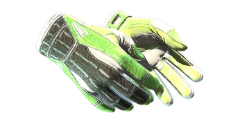 ★ Sport Gloves | Hedge Maze (Field-Tested)