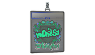 Sticker Slab | m0NESY | Budapest 2025